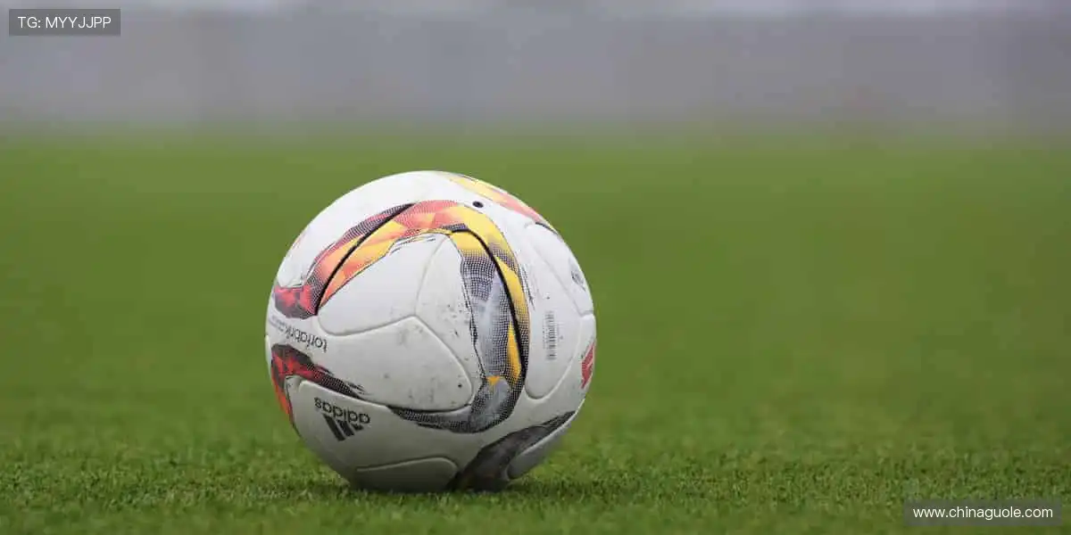 🏇马术优雅,掌控每一步节奏🐎